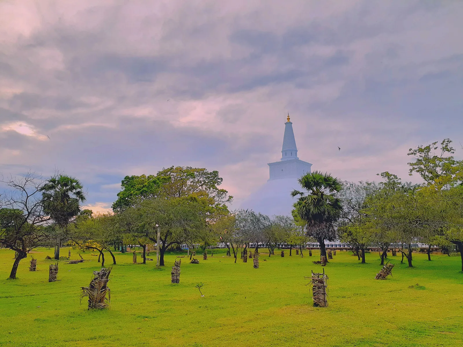 Anuradhapura view 4