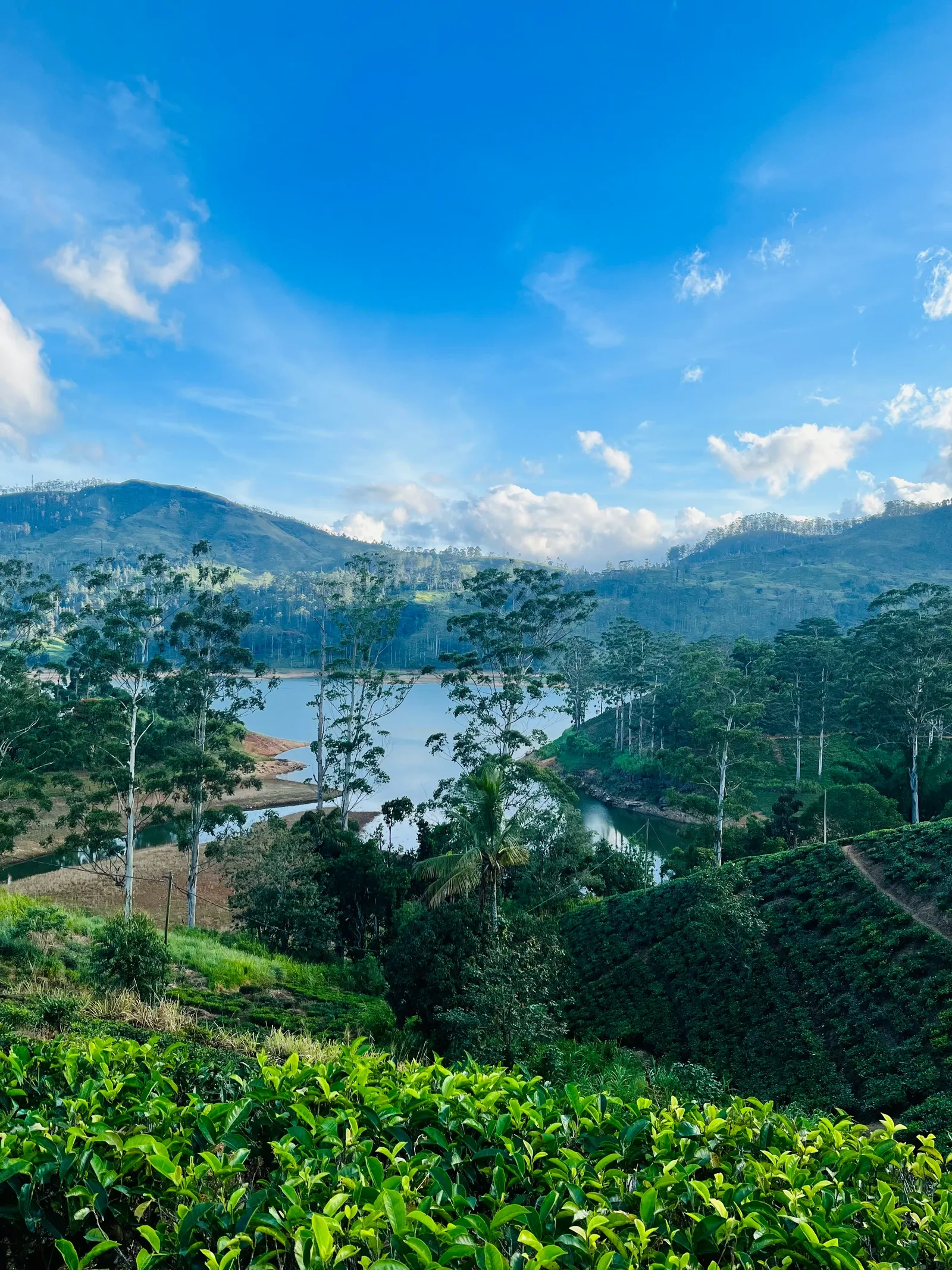 Hatton / Castlereagh