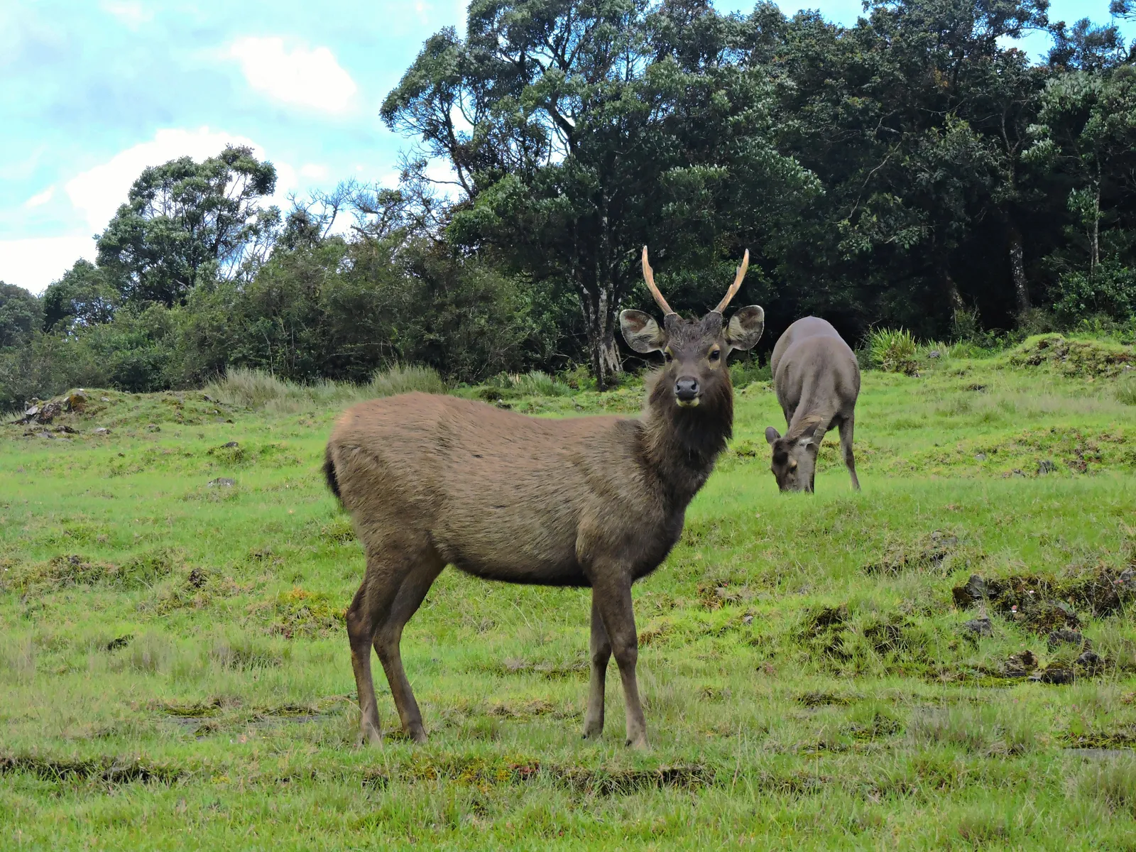 Horton Plains / World’s End