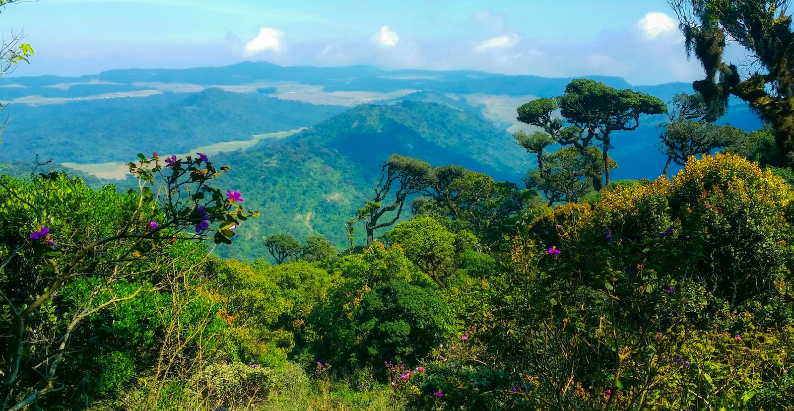 Horton plains view 1