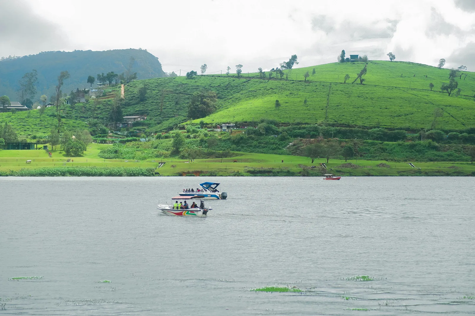 Nuwara Eliya
